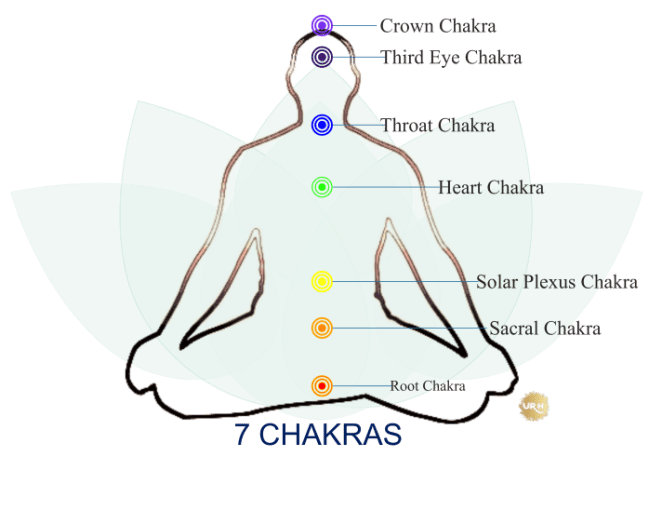 What Are Chakras & Main 7 Chakras Meaning You Must Know