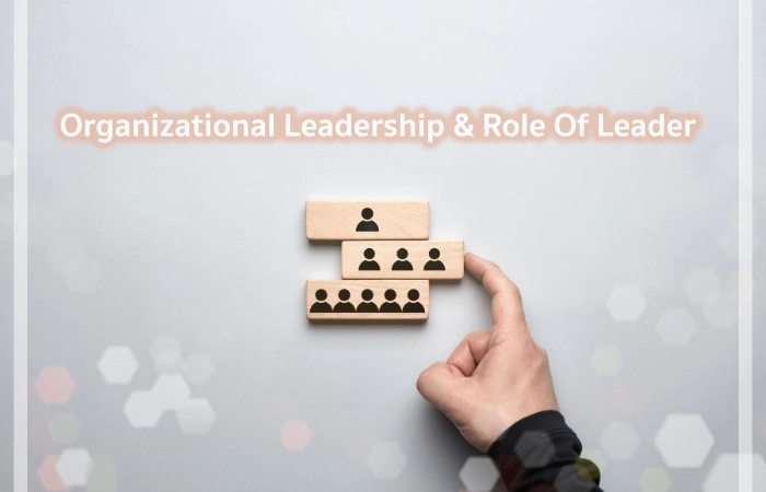 Organizational Leadership & Role Of Leader – Top 5 Explained