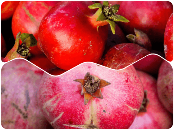 Picking The Right Pomegranate Fruit