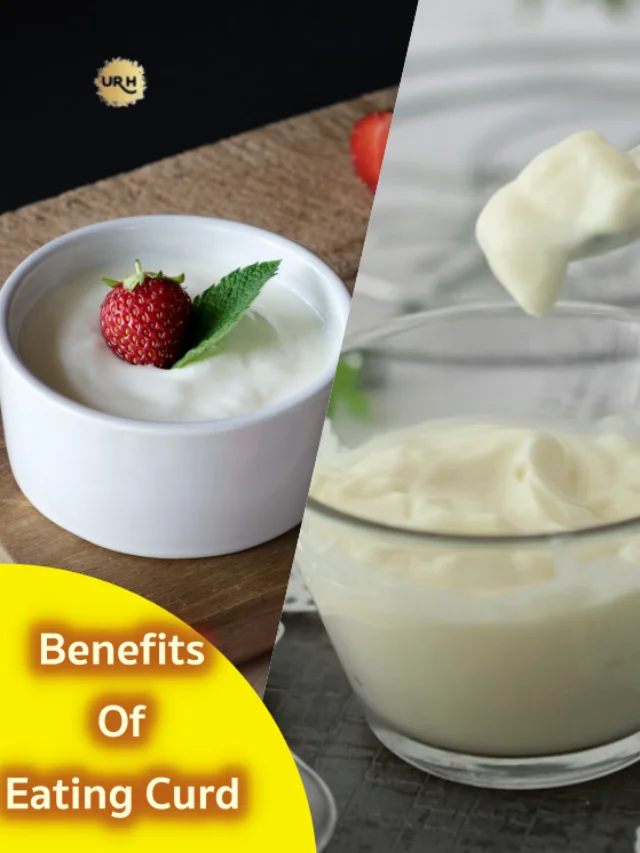Benefits Of Eating Curd
