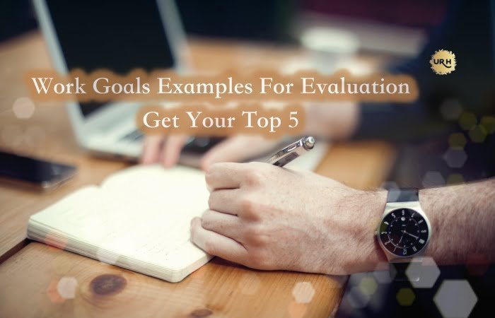work goals examples for evaluation